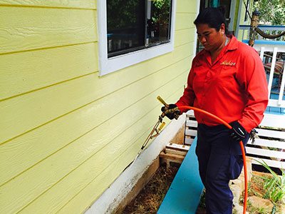 What’s an Exterminator?