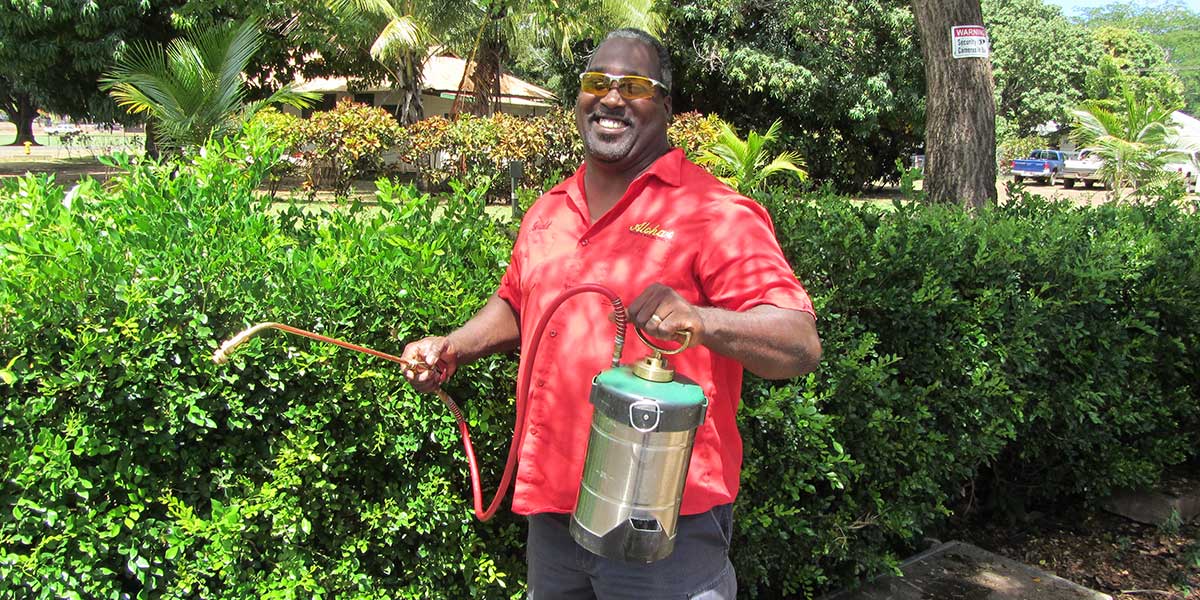 Hawaii Exterminator – Termite & Pest Control