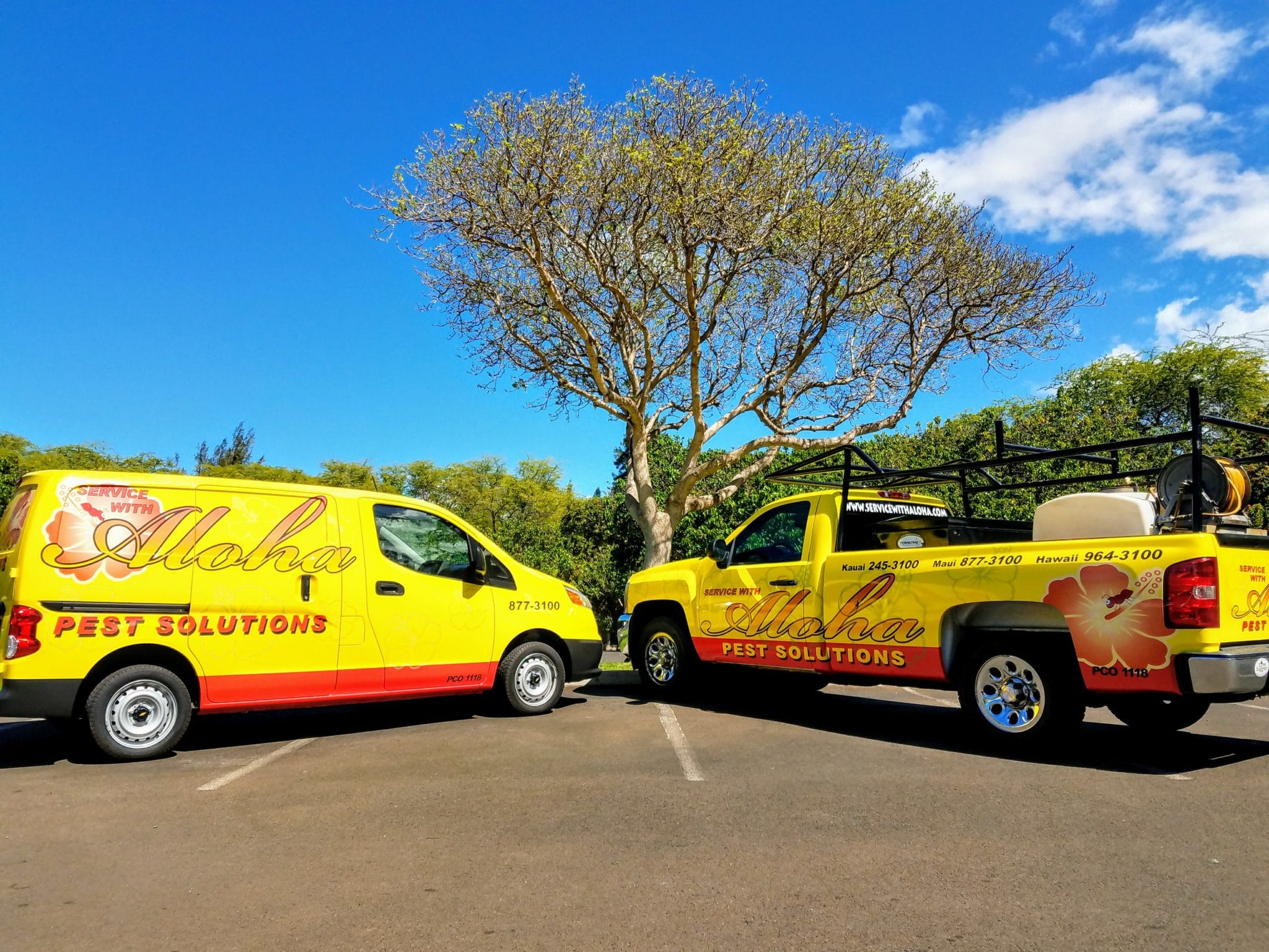 Hawaii's best termite and pest control