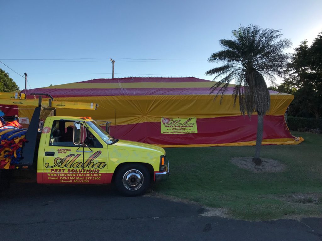 Kauai & Maui - Termite Tenting